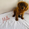 The romance floral custom dog blanket