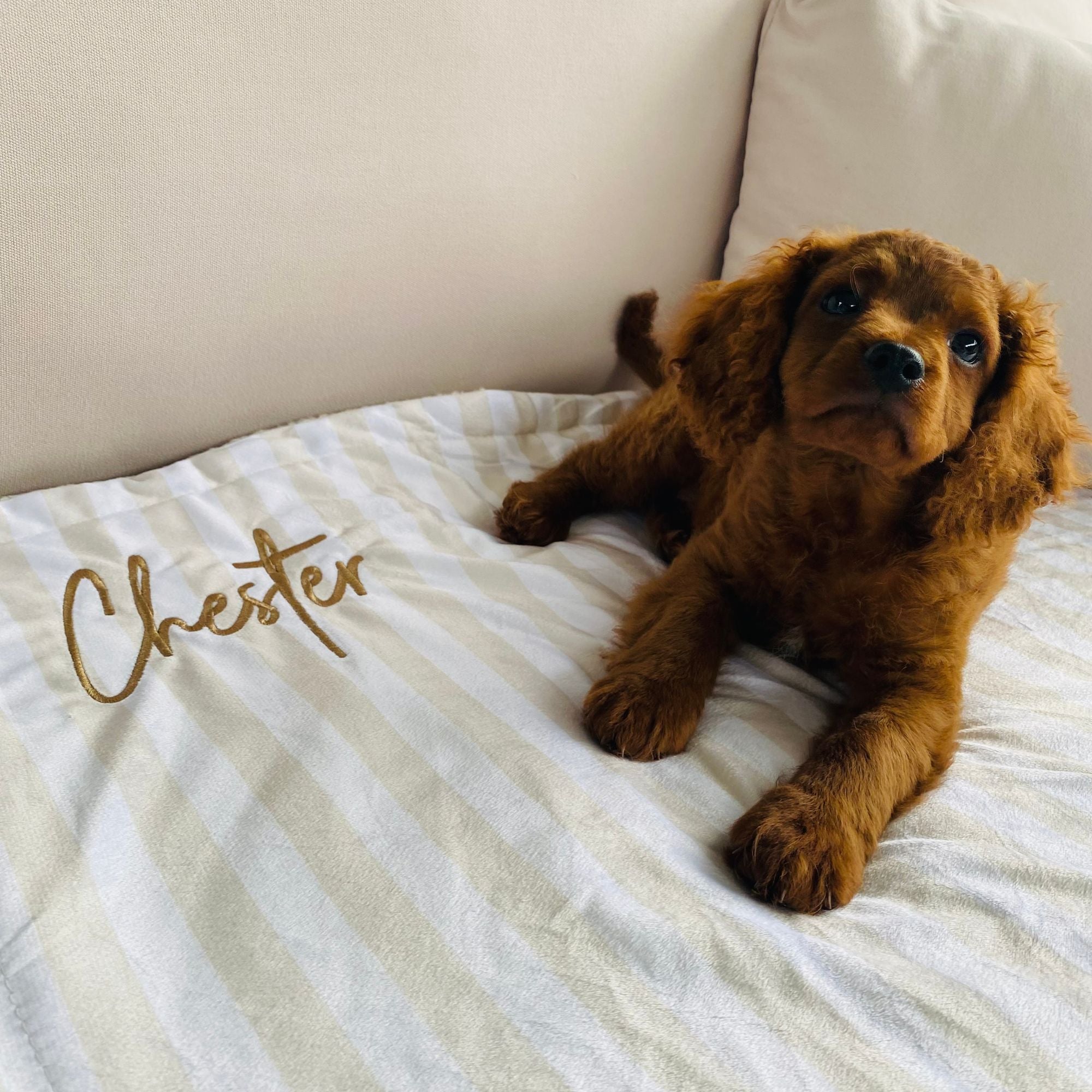 Neutral coastal custom blanket, Signature range