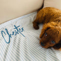 Blue coastal stripe custom dog blanket, Signature range