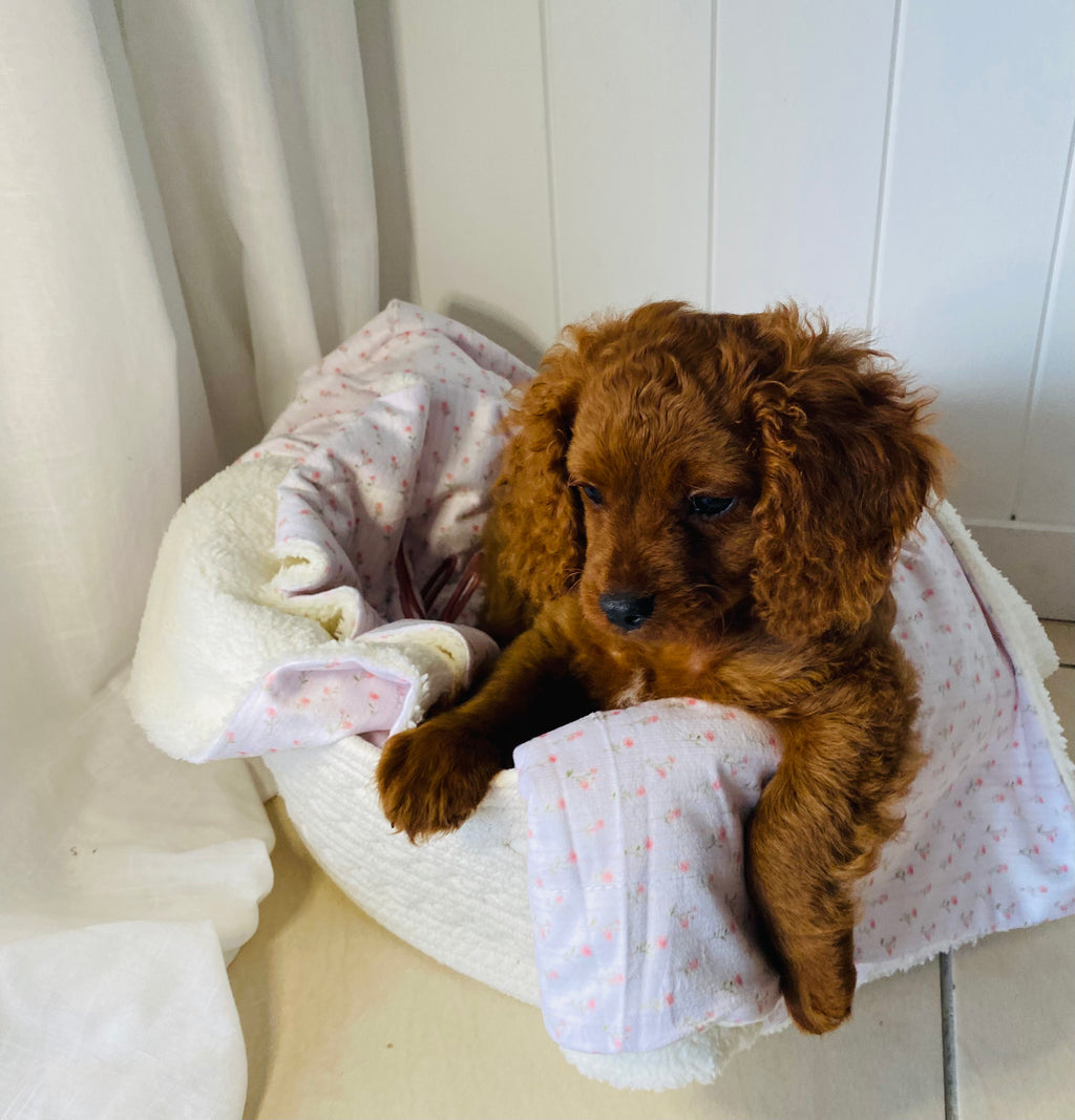 The romance floral custom dog blanket