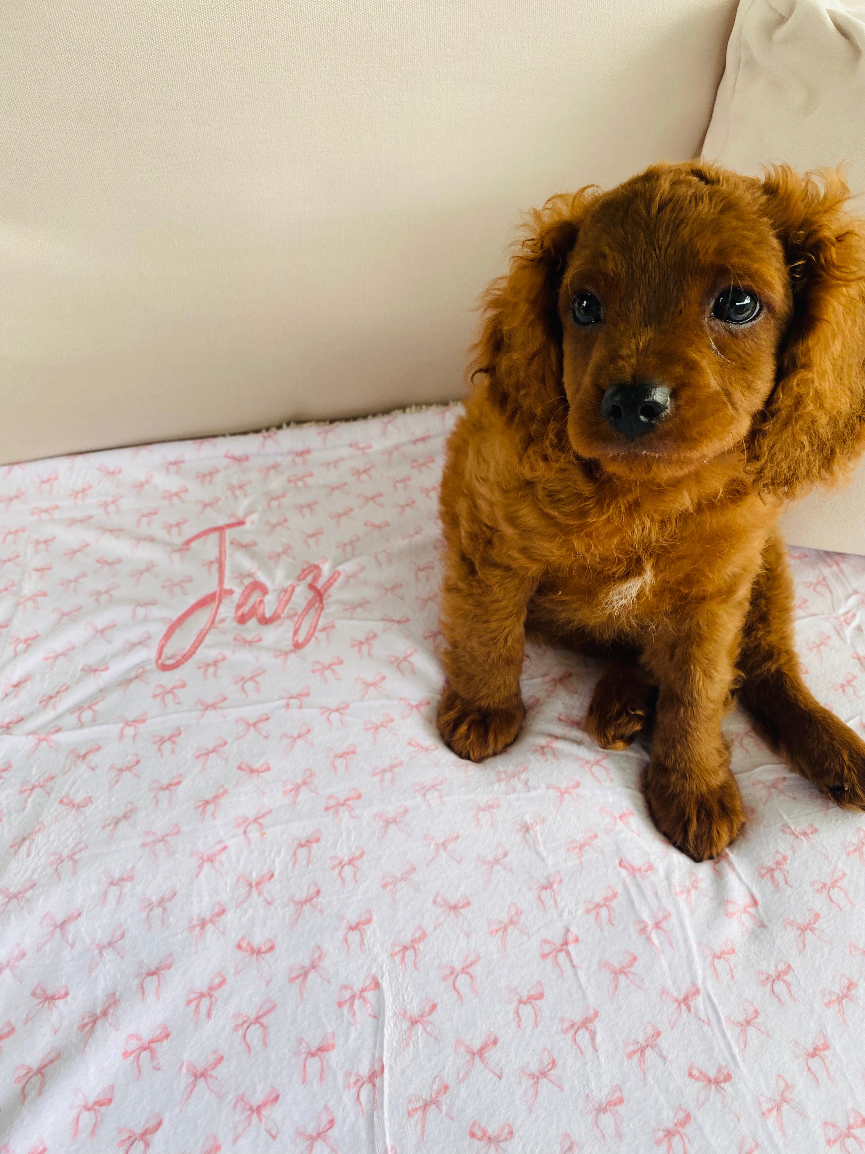 Cute pink bow custom dog blanket